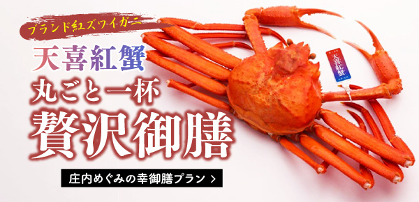 庄内めぐみの幸御膳