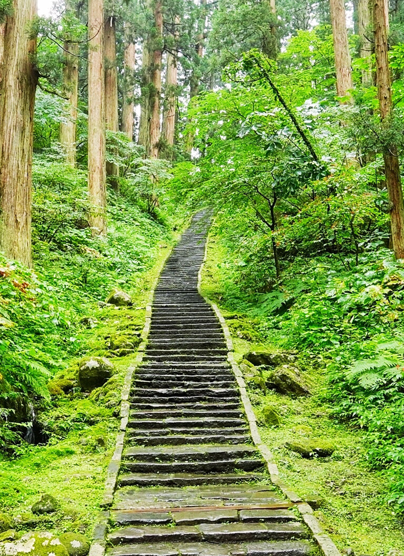 鶴岡観光情報